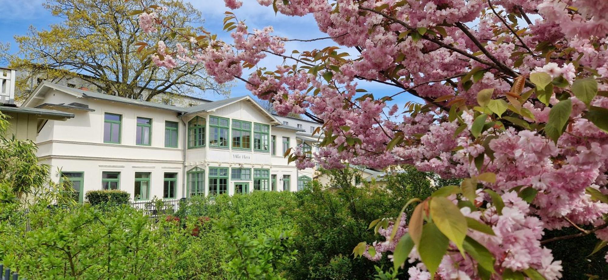 Villa Flora Χέρινγκσντορφ Εξωτερικό φωτογραφία